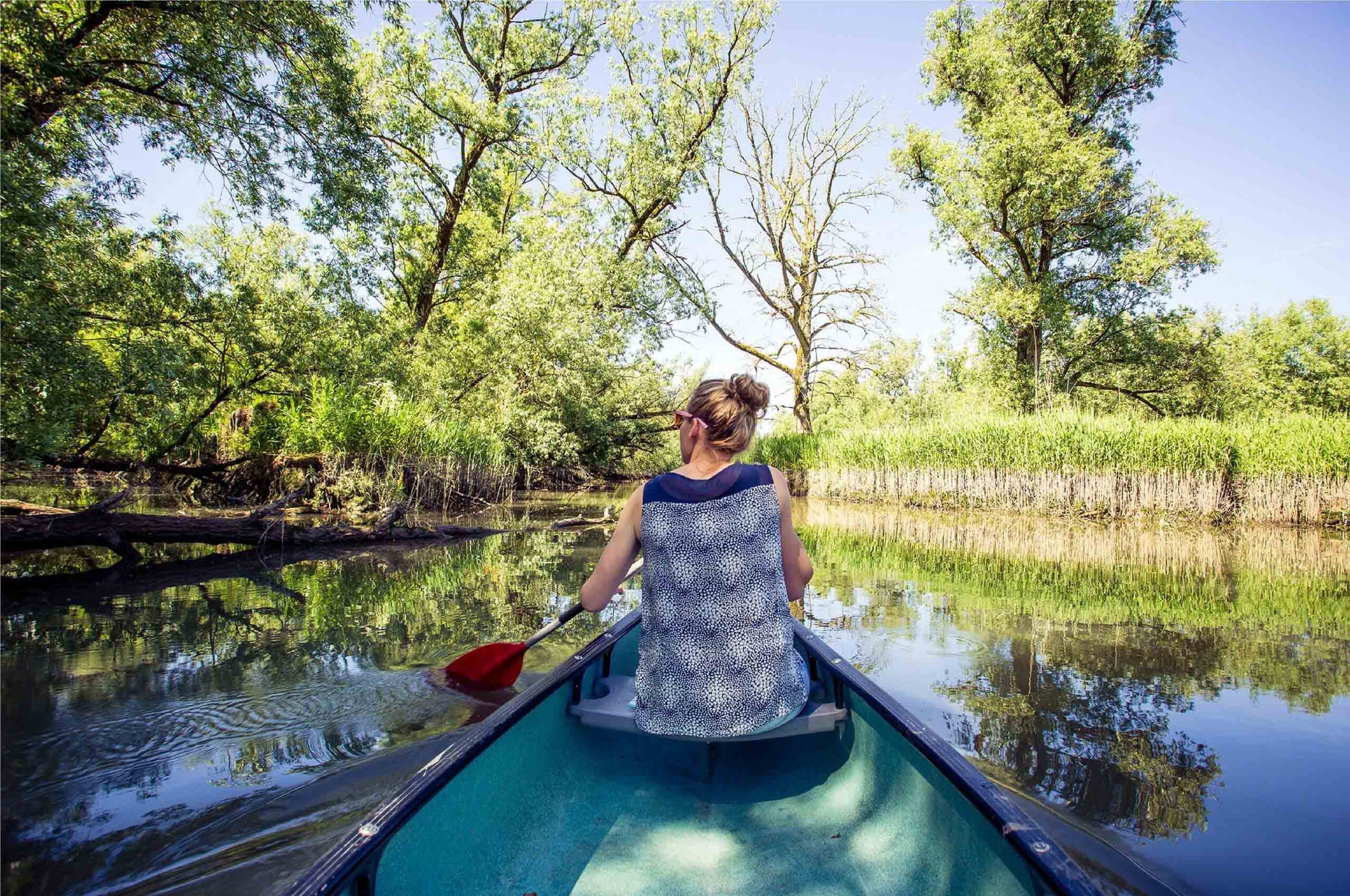 Biesbosch kano