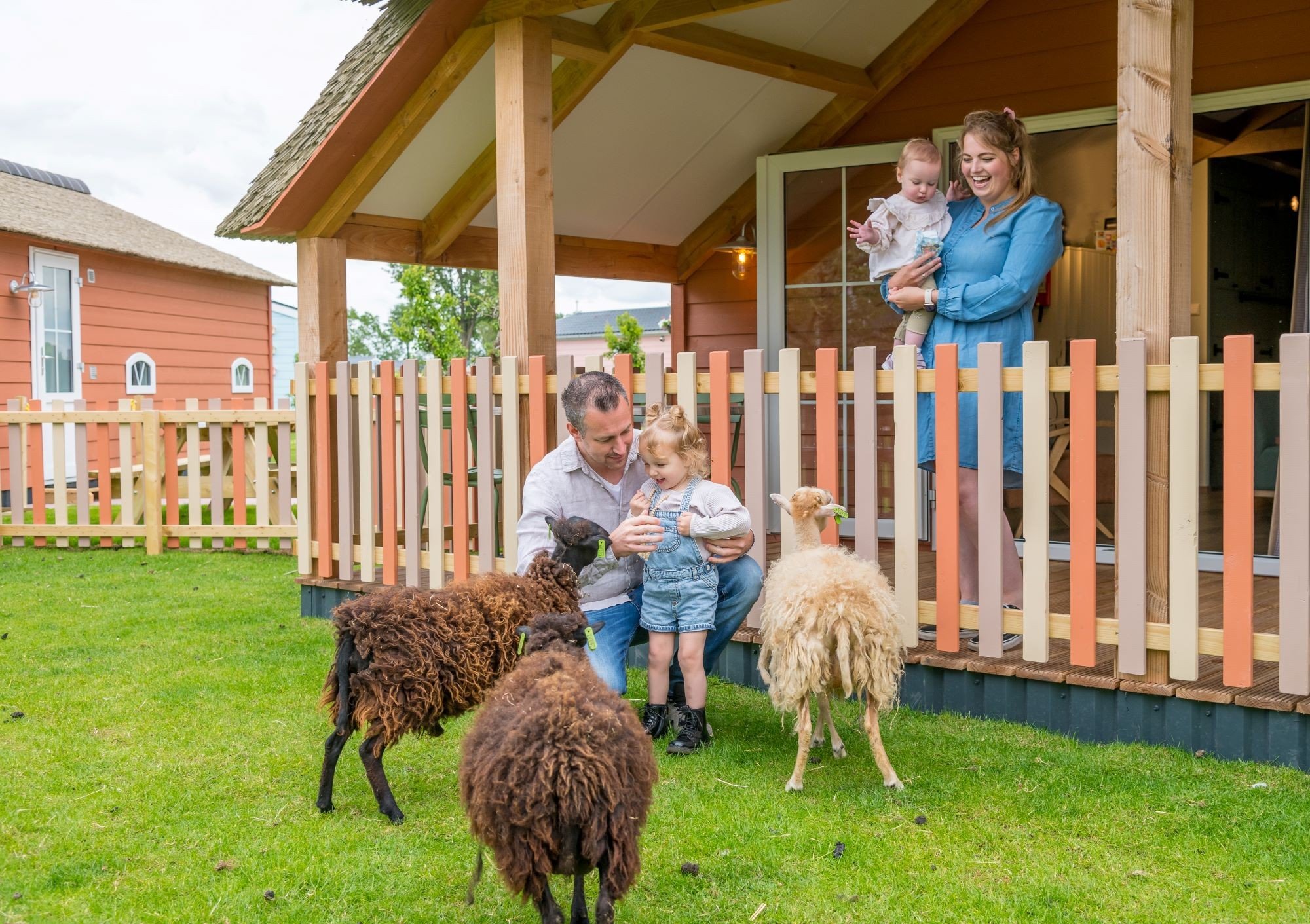 Ontmoet de leukste dieren bij Familie Resort Molenwaard